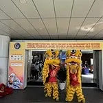 Chinese lion dance performance