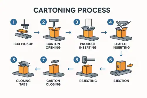 Una infografía paso a paso que ilustra las 9 etapas del proceso de encartonado, desde la recogida de la caja hasta la expulsión final.