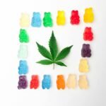 gummy bears