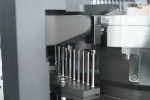 Locking capsule device (internal)