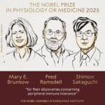 El Premio Nobel de Fisiología o Medicina de 2025 se otorga a Mary E. Brunkow, Fred Ramsdell y Shimon Sakaguchi por sus descubrimientos sobre la tolerancia inmunitaria periférica.