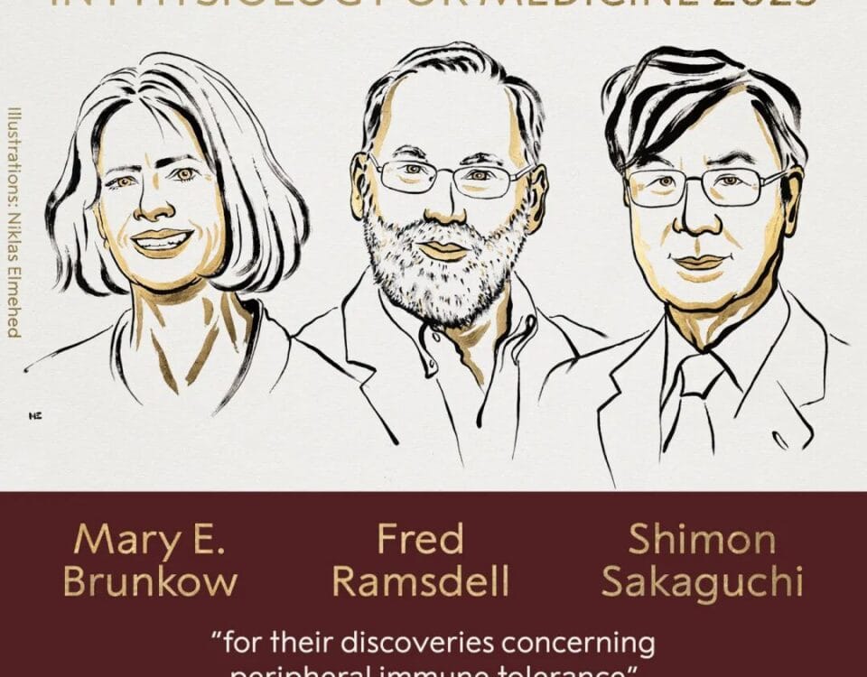 The 2025 Nobel Prize in Physiology or Medicine is awarded to Mary E. Brunkow, Fred Ramsdell, and Shimon Sakaguchi for their discoveries on peripheral immune tolerance.