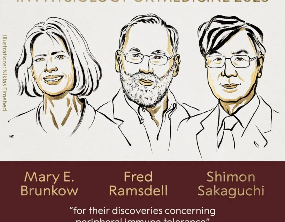 The 2025 Nobel Prize in Physiology or Medicine is awarded to Mary E. Brunkow, Fred Ramsdell, and Shimon Sakaguchi for their discoveries on peripheral immune tolerance.