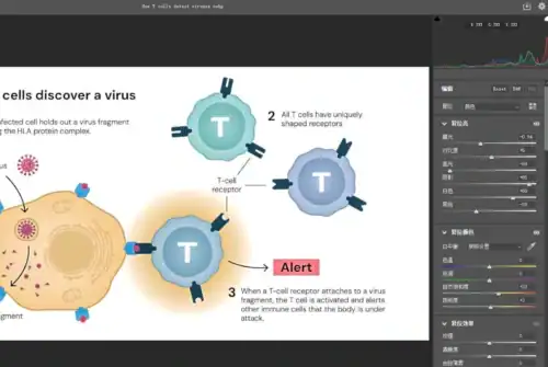 The adjustment panel of the camera raw filter in PS can be used to adjust the basic color of the picture