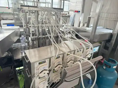 filling-ceramic pumps